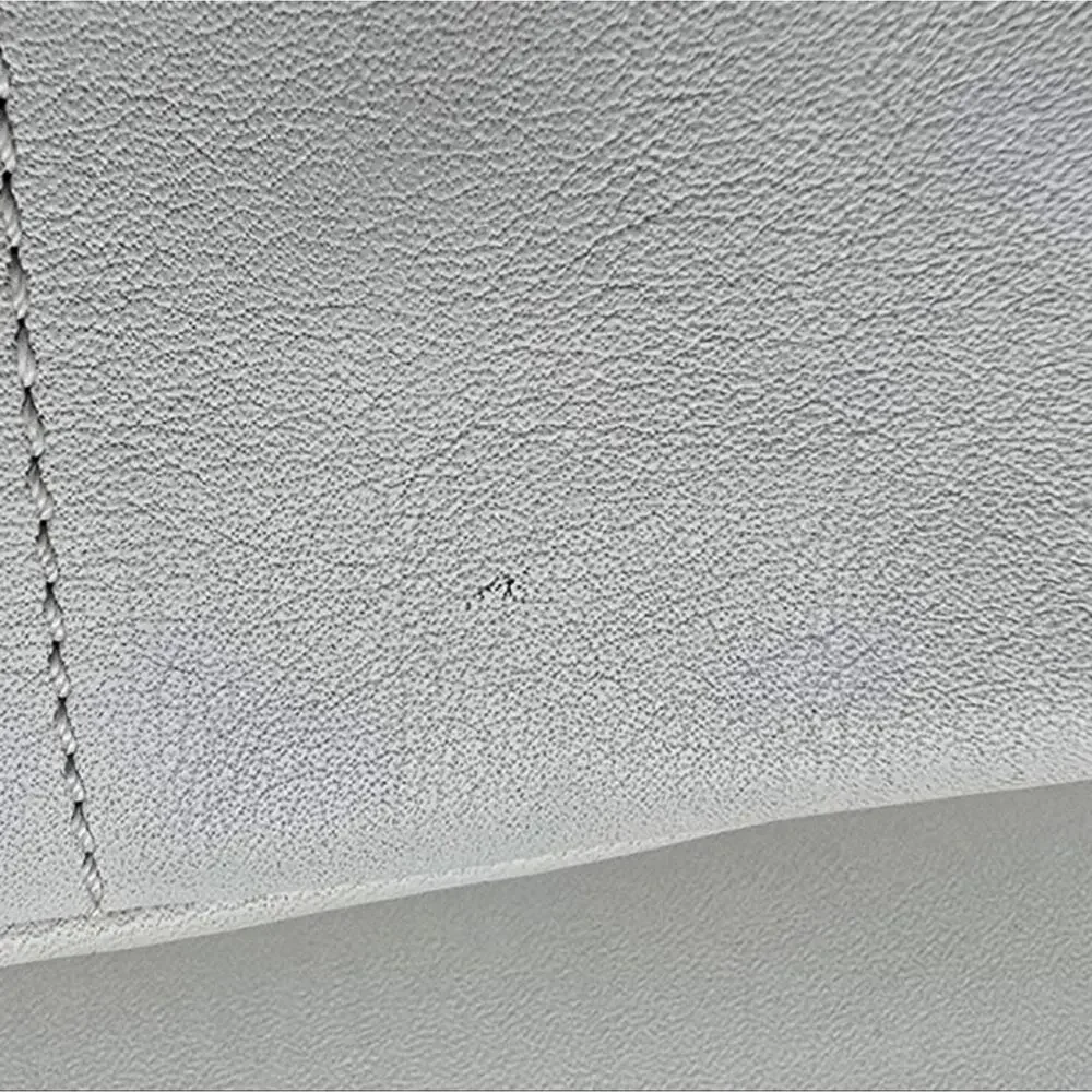 Coach Hamilton Tassel Leather‎ Hobo White F10280